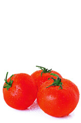 Tomatoes on white background.