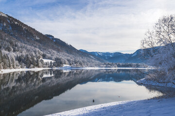 Sunny winter landscape in the alps: Lake Hintersee in Salzburg, snowy trees and mountains