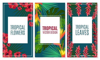 Tropical leaves and flowers cards set. Trendy exotic jungle plants for cover, invitation card, banner, poster botanical design vector illustration