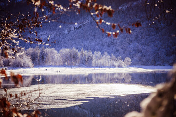 Sunny winter landscape in the alps: Lake Hintersee in Salzburg, snowy trees and mountains