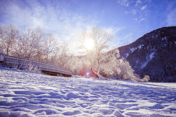 Sunny winter landscape in the alps: Snowy wooden bridge, frosty trees and mountain range