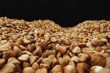 Fototapeta na wymiar Macro photo of handful dry buckwheat grain