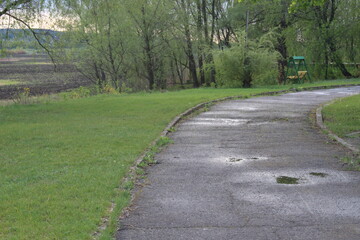wet paved road in the park in the summer on the right there is a bench and a green tree