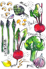 Fresh farmers market vegetables, rectangle food illustration,  sketches drawn in ink, painted in watercolors