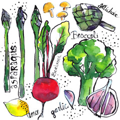 Healthy fresh vegetables and fruit, food illustration for veggie lovers, drawn with ink, painted with watercolors