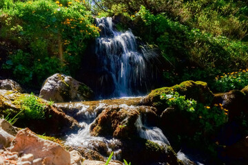 spashing water from a little step from a waterfall in the sun