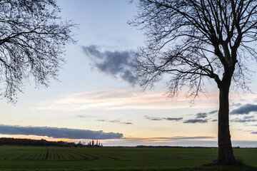 Fototapeta na wymiar sunset in the countryside