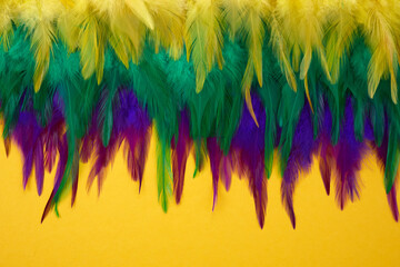 Mardi gras color feathers background. Nature patern