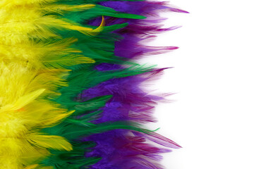 Mardi gras color feathers background. Nature patern © vetre