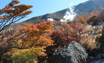 大涌谷　　　箱根火山の中央火口丘で今も噴煙が上がる。