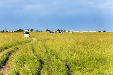 Safari - tour to reserve Masai Mara