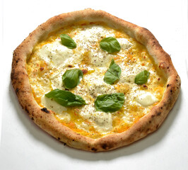Just baked Mozzarella pizza Napoletan stile with yellow tomato and basil