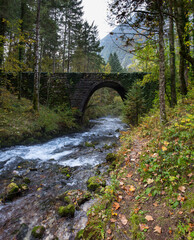 Ruined old bridge over stream