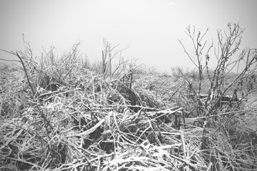 Winter an der Nordsee