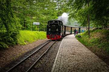 Fototapeta premium old train