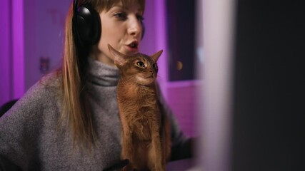 Funny Abyssian cat sits in front of female blogger playing video games