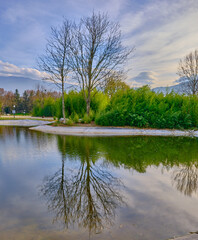 Autumn thema, brown dried trees and its magnificence reflection on water 