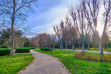 Walking way made of gravel and tree near the way. Autumn theme with dried trees with sky background.