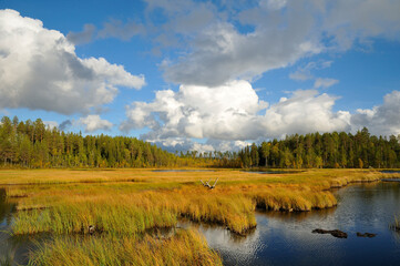 Herbsttag in Värmlands län, bei Höljes in Schweden