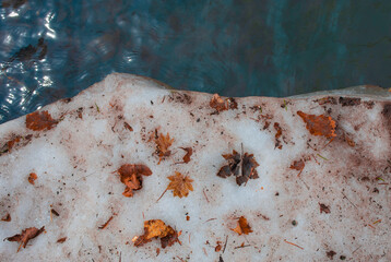 Maple leaf in the snow. Winter is coming soon. 