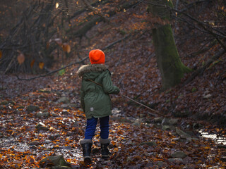 person walking in autumn forest