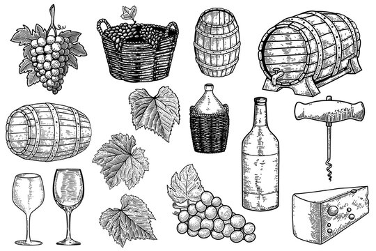 Set of winery design elements. Design element for poster, card, banner, sign. Vector illustration