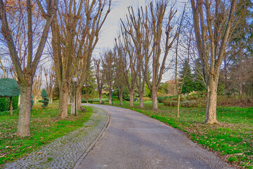 Walking way made of gravel and tree near the way. Autumn theme with dried trees with sky background.