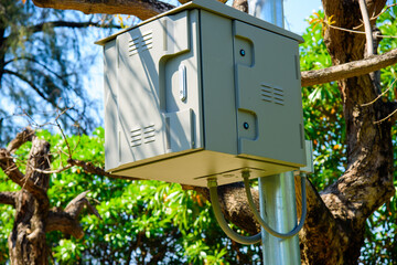 feeder in the forest