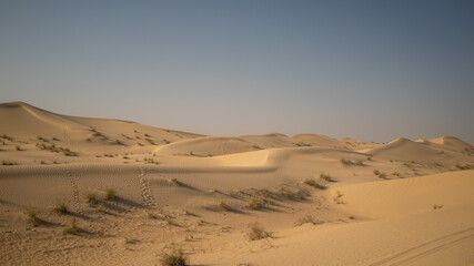 Fototapeta na wymiar sand dunes in the park