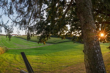 Jagdansitz im Sommer