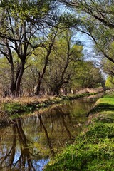 Frühlingslandschaft in Ungarn, Nähe Barbacs