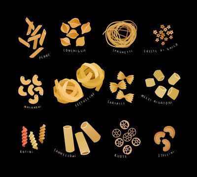 Vector illustration set of various kinds of pasta such as penne, conchiglie, spaghetti, macaroni, fettuccine, farfalle, rotini, cannelloni, ruote, creste di gallo, mezzi rigatoni and stellini