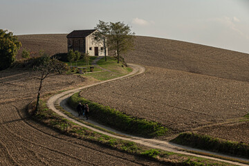 Curves in the countryside