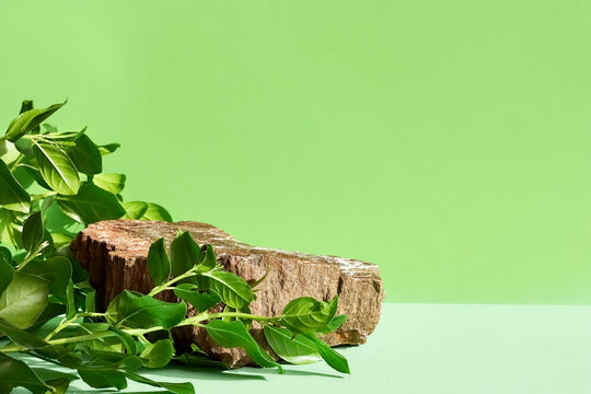 Natural stone podium display with leaf shadow. Product presentati on soft green background. Cosmetics or beauty product promotion minimalist mockup.