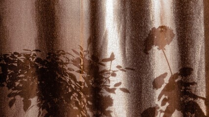 coffee beans background