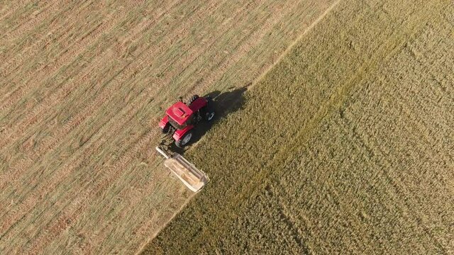 A tractor cutting down Barley with a farm tractor machine. Dried to make Hay