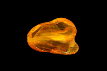 baltic amber closeup on black background 