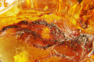 Obraz na płótnie Canvas Texture of natural Baltic amber 