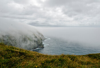Cape St Mary New Foundland