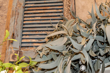 Eucalyptus branches against the background of vintage shabby wooden shutters. Faded colors floral background in Provence style. 