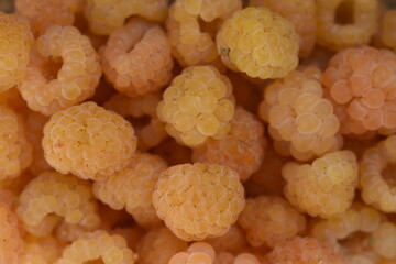 yellow raspberries healthy juicy delicious and natural self health