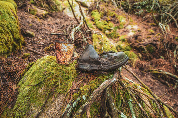 zapato viejo en el bosque 