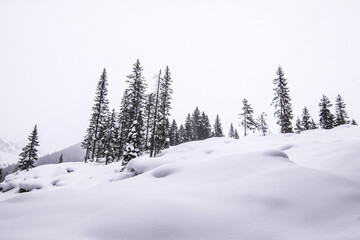 Schneelandschaft