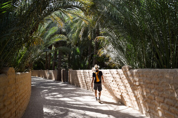Back view of a man walking along a pathway shaded by the canopy of date palms inside Al Ain Oasis. Oman.