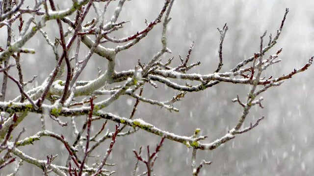 forte nevicata 