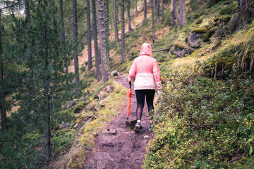 Obraz premium Wandern auf verlassenen Pfaden