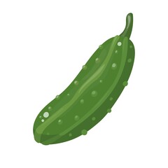 Crispy cucumber vegetables with prickly green skin isolated on white background, for agriculture or vegetarian food themes
