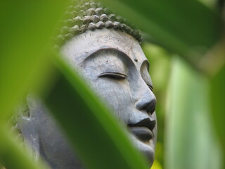 buddha statue obscured green leaves