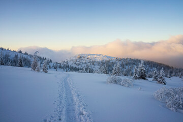 Mountain trail in the snow. Tatry. Poland.