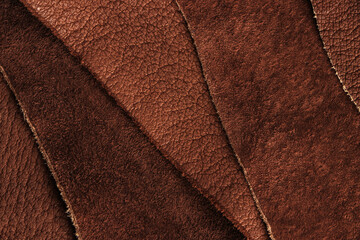 A sample of the texture of natural leather and brown suede. Close-up.
